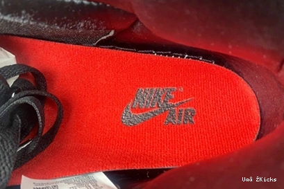 1 Resilient FD4810-061 95 Jordan Retro  High OG Bred Satin 1017